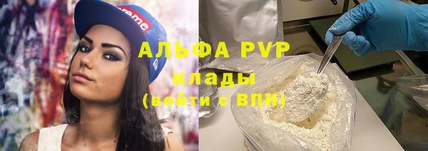стаф Абаза