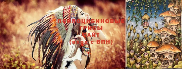 соль ск Абдулино
