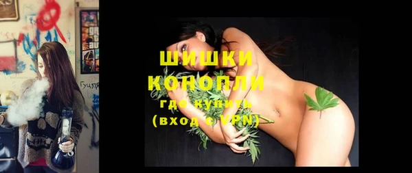 прущие грибы Наволоки