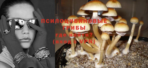 стаф Абаза