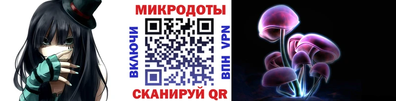 mega tor  Райчихинск  Псилоцибиновые грибы GOLDEN TEACHER 